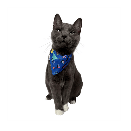 "The 90s Cat" Bandana & Collar